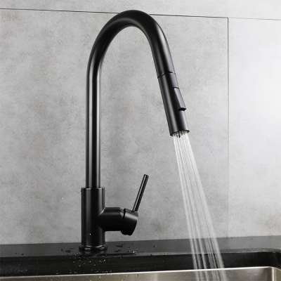 Matte Black North American pull out pulldown sprayer kitchen tap faucet in matte black